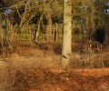 Joshofen Landschaft